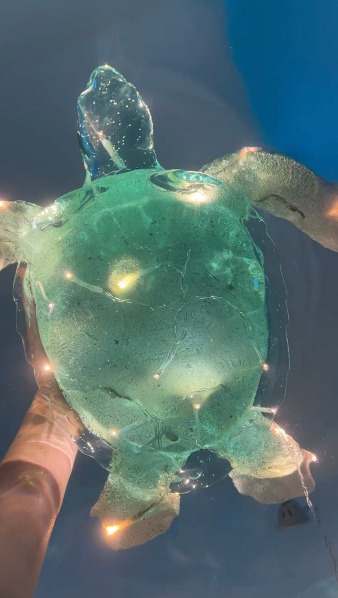 GIANT Turtle nightlight