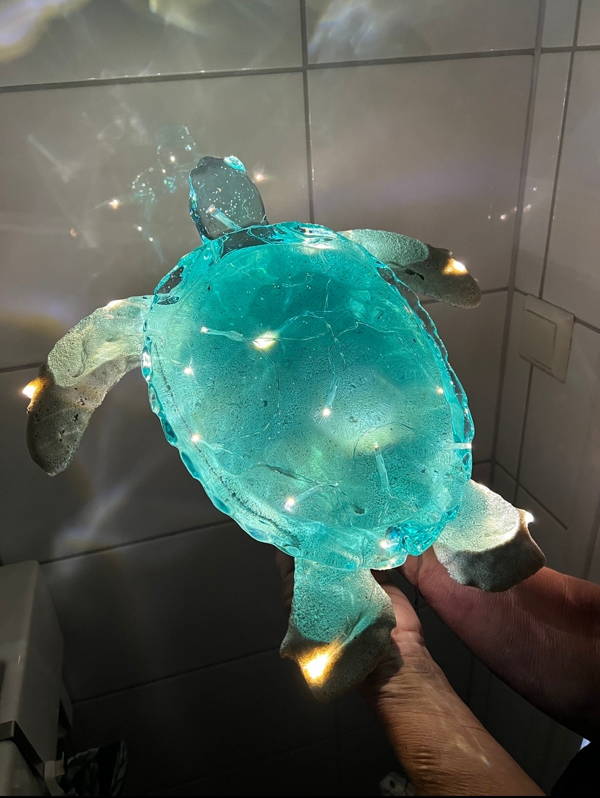 GIANT Turtle nightlight