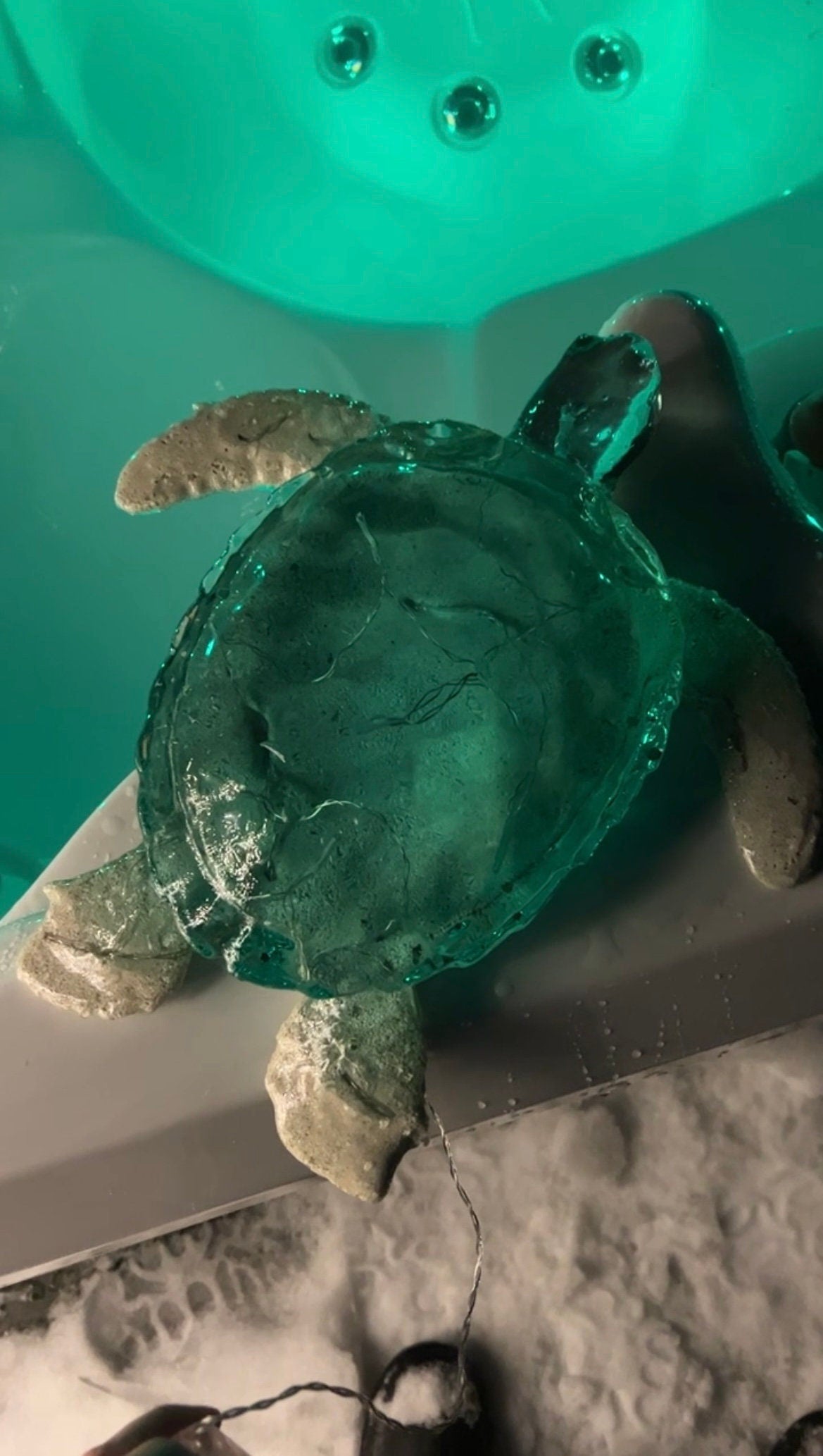GIANT Turtle nightlight