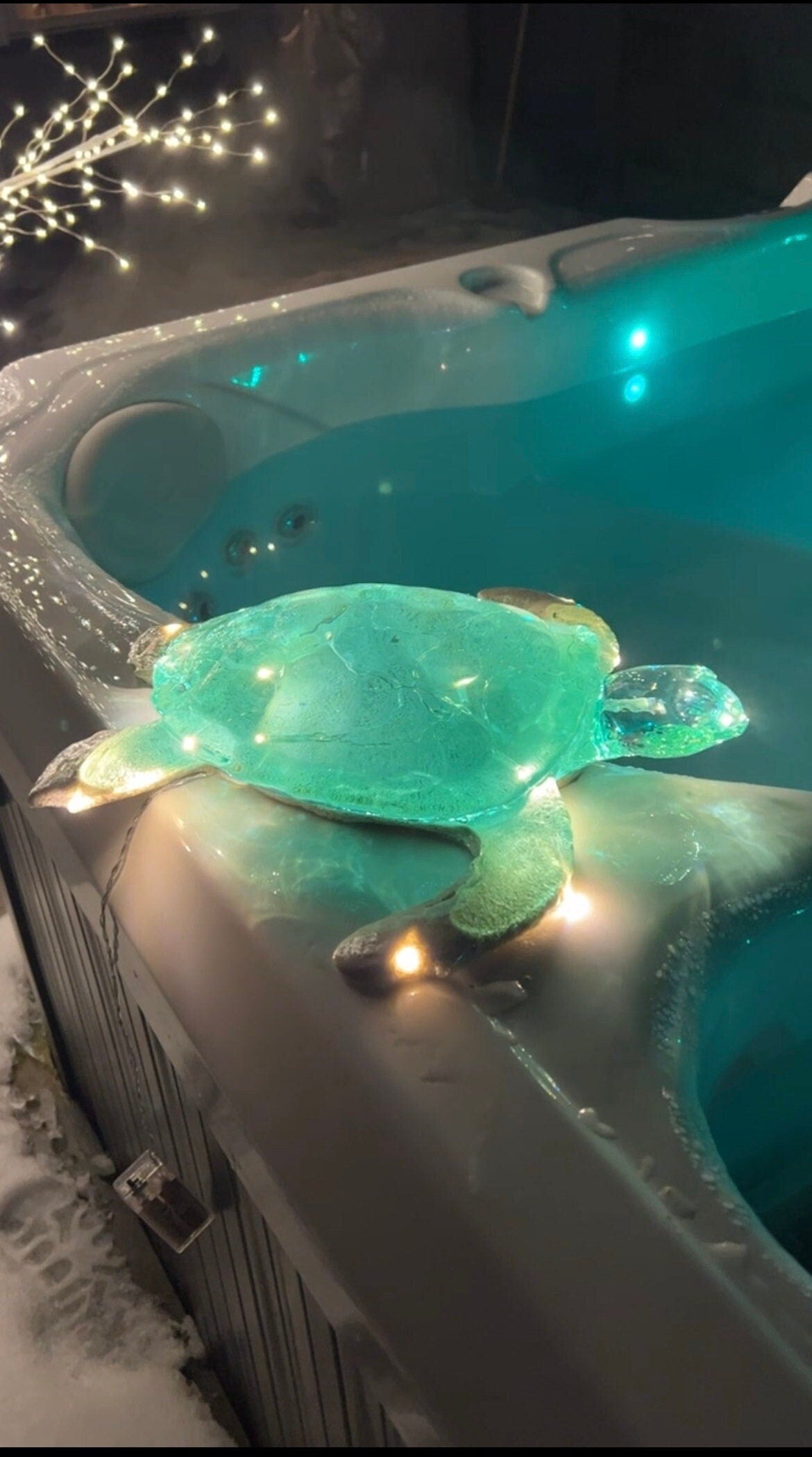 GIANT Turtle nightlight