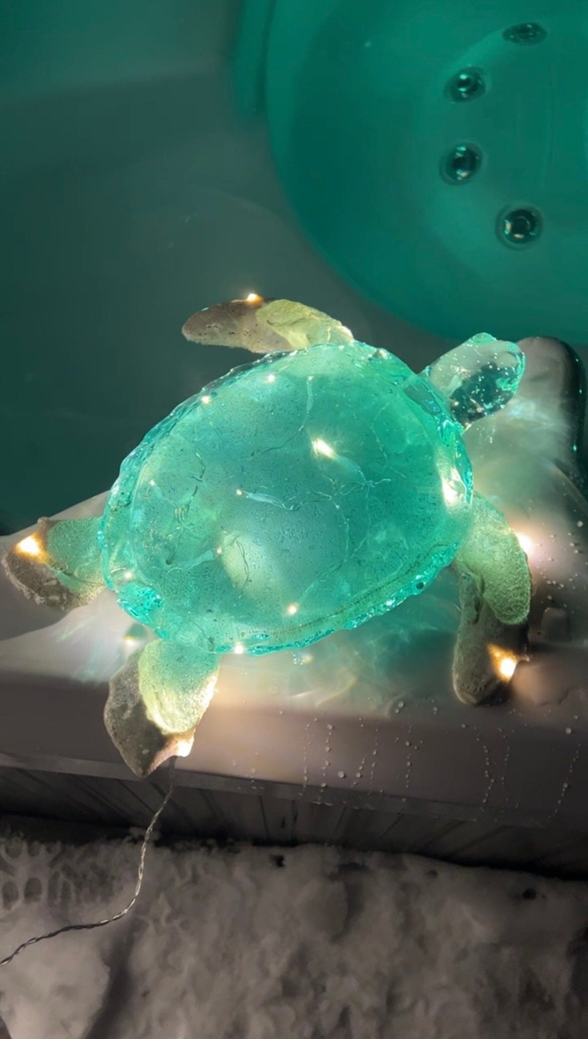 GIANT Turtle nightlight