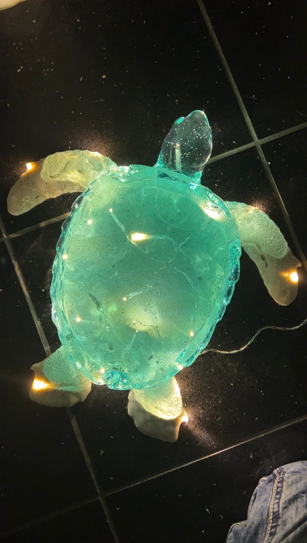 GIANT Turtle nightlight