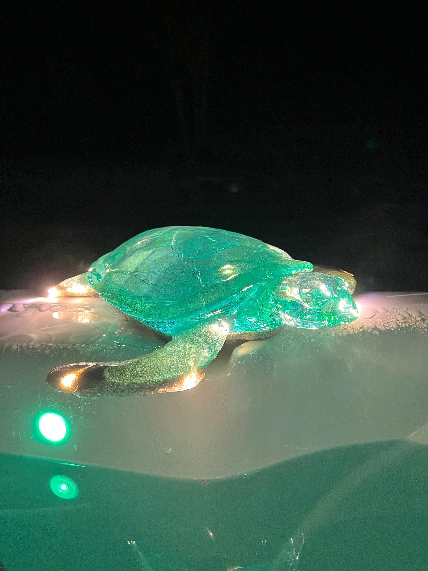 GIANT Turtle nightlight