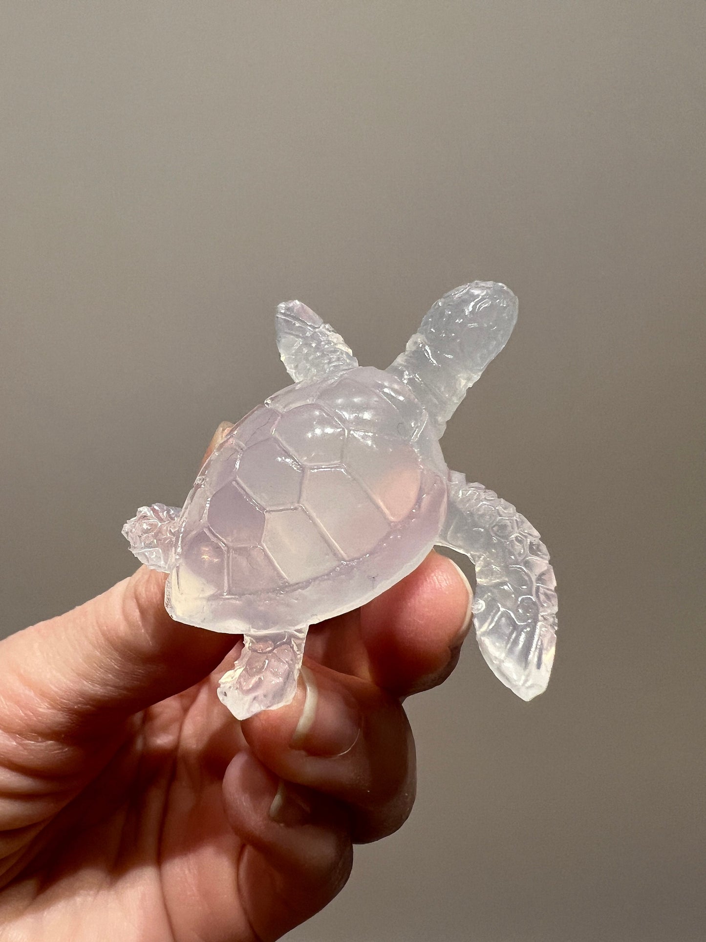 Turtle inlay silicone mold / Resin mold