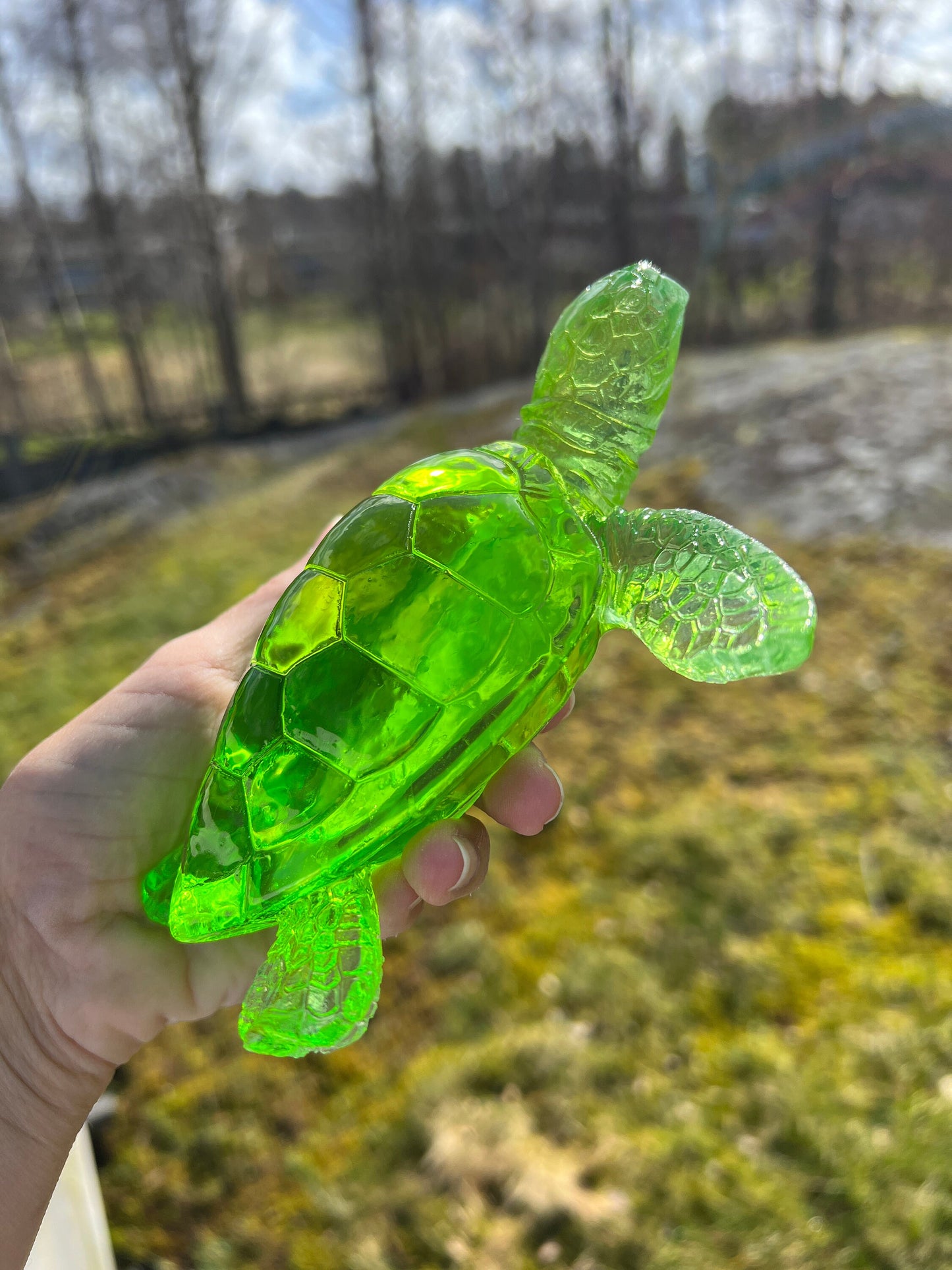 XL Turtle silicone mold / Resin mold