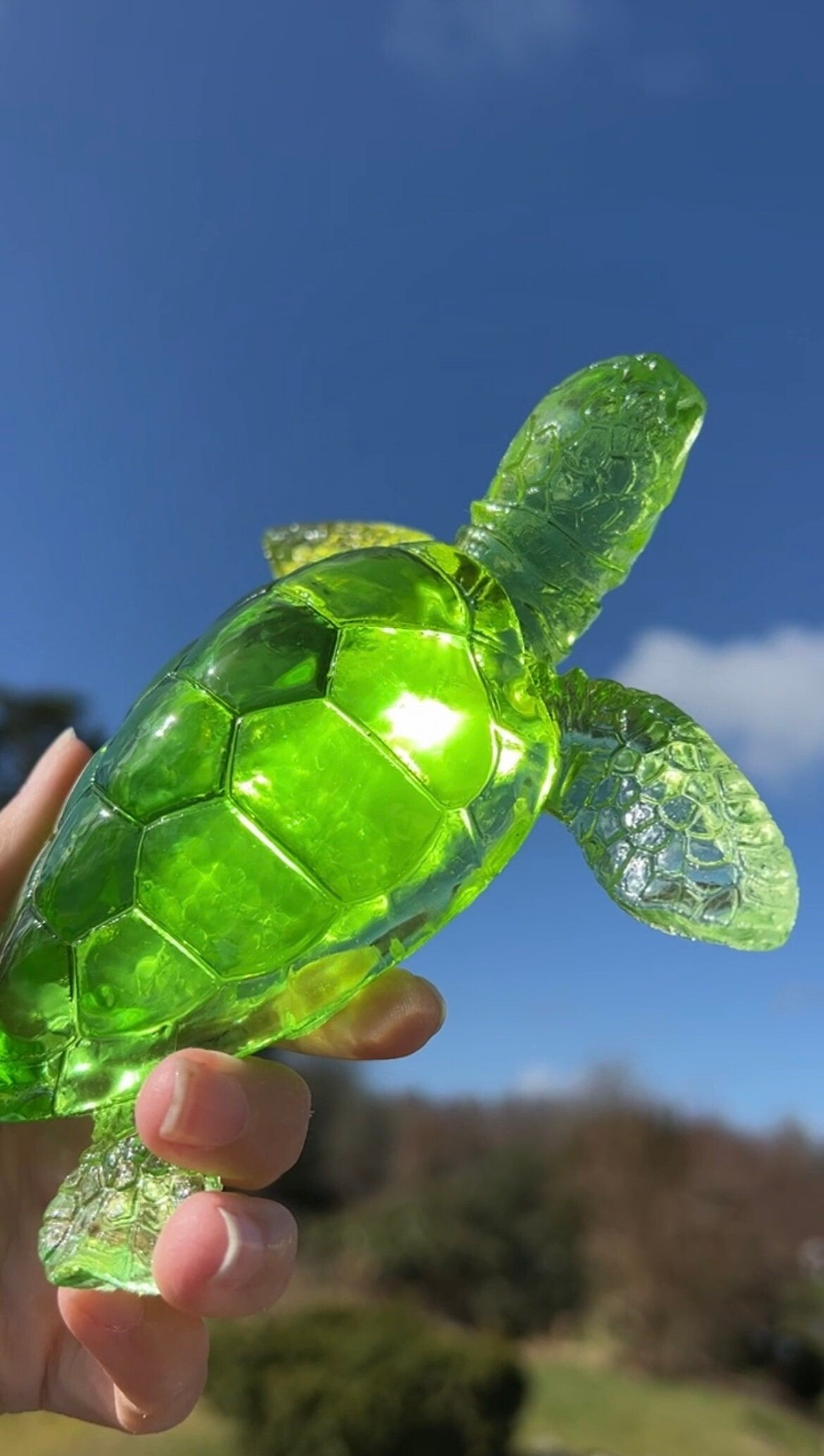 XL Turtle silicone mold / Resin mold