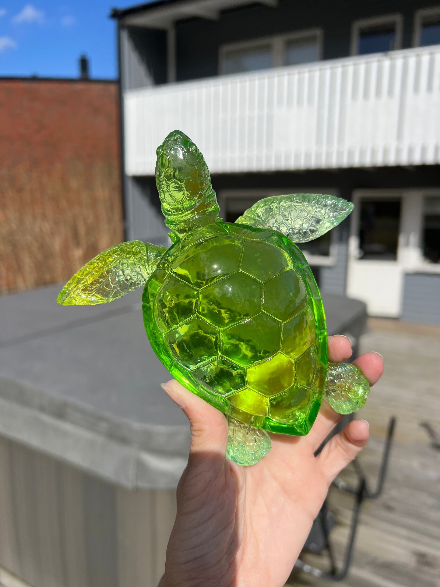 XL Turtle silicone mold / Resin mold