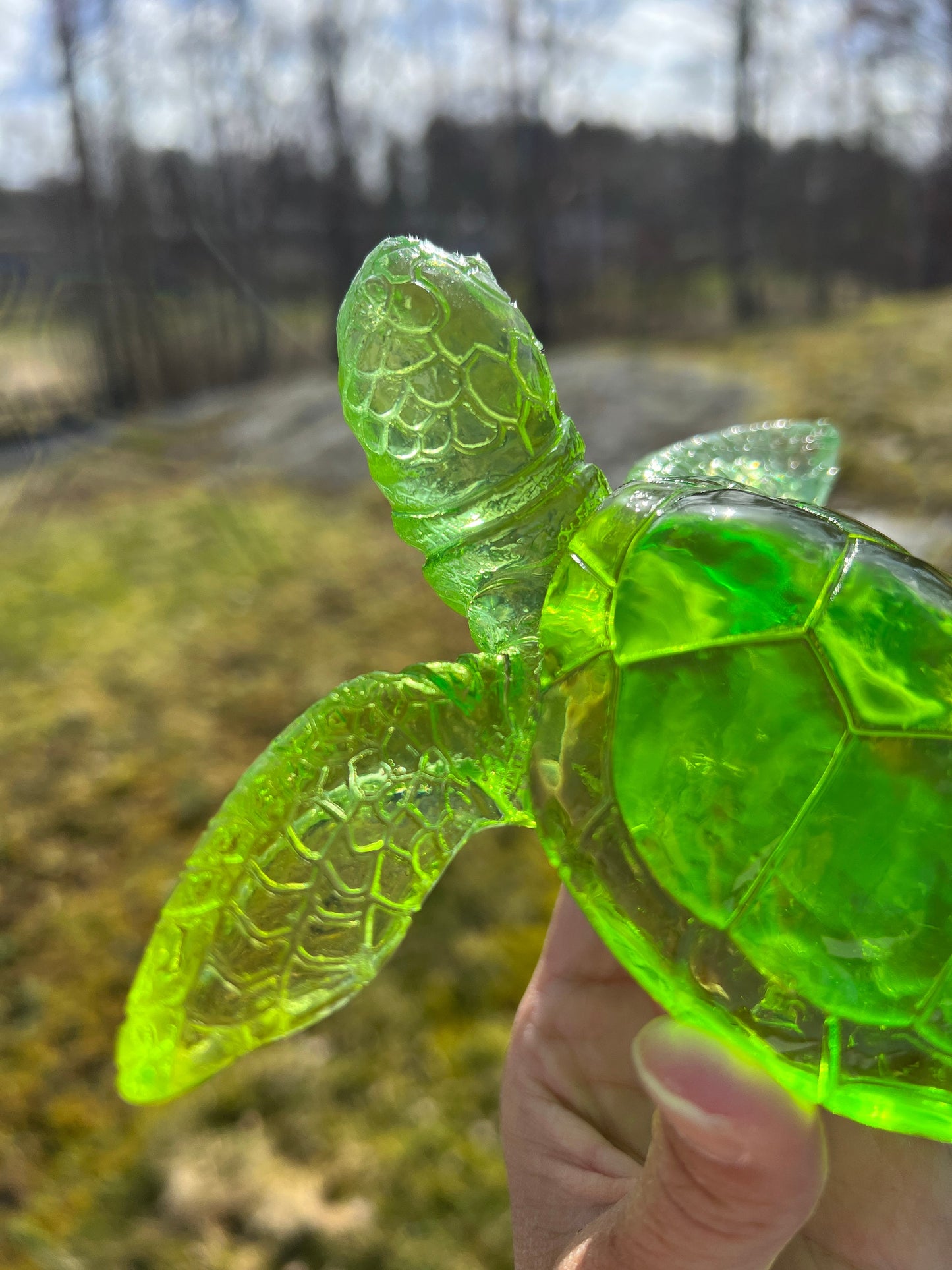XL Turtle silicone mold / Resin mold