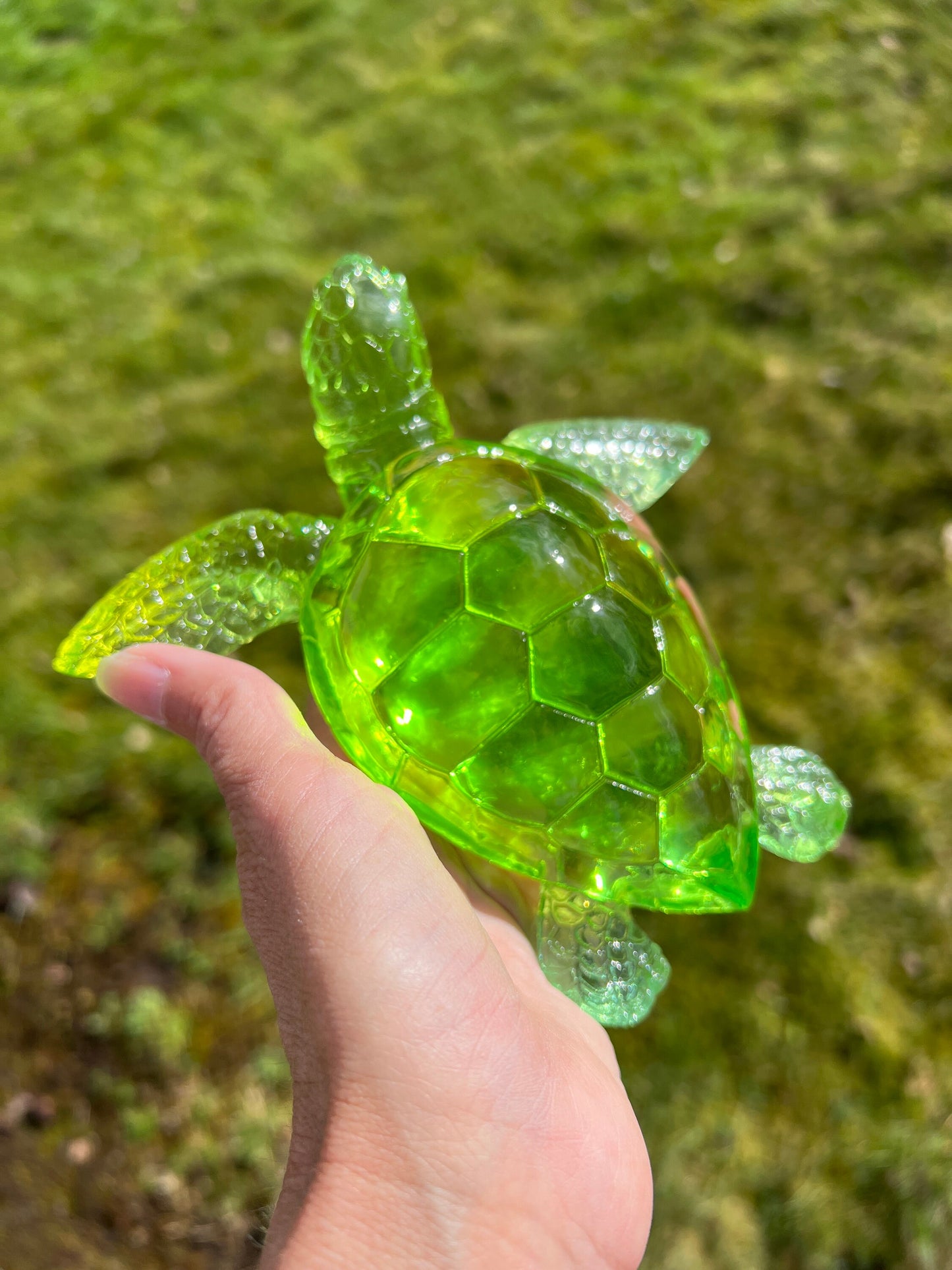 XL Turtle silicone mold / Resin mold