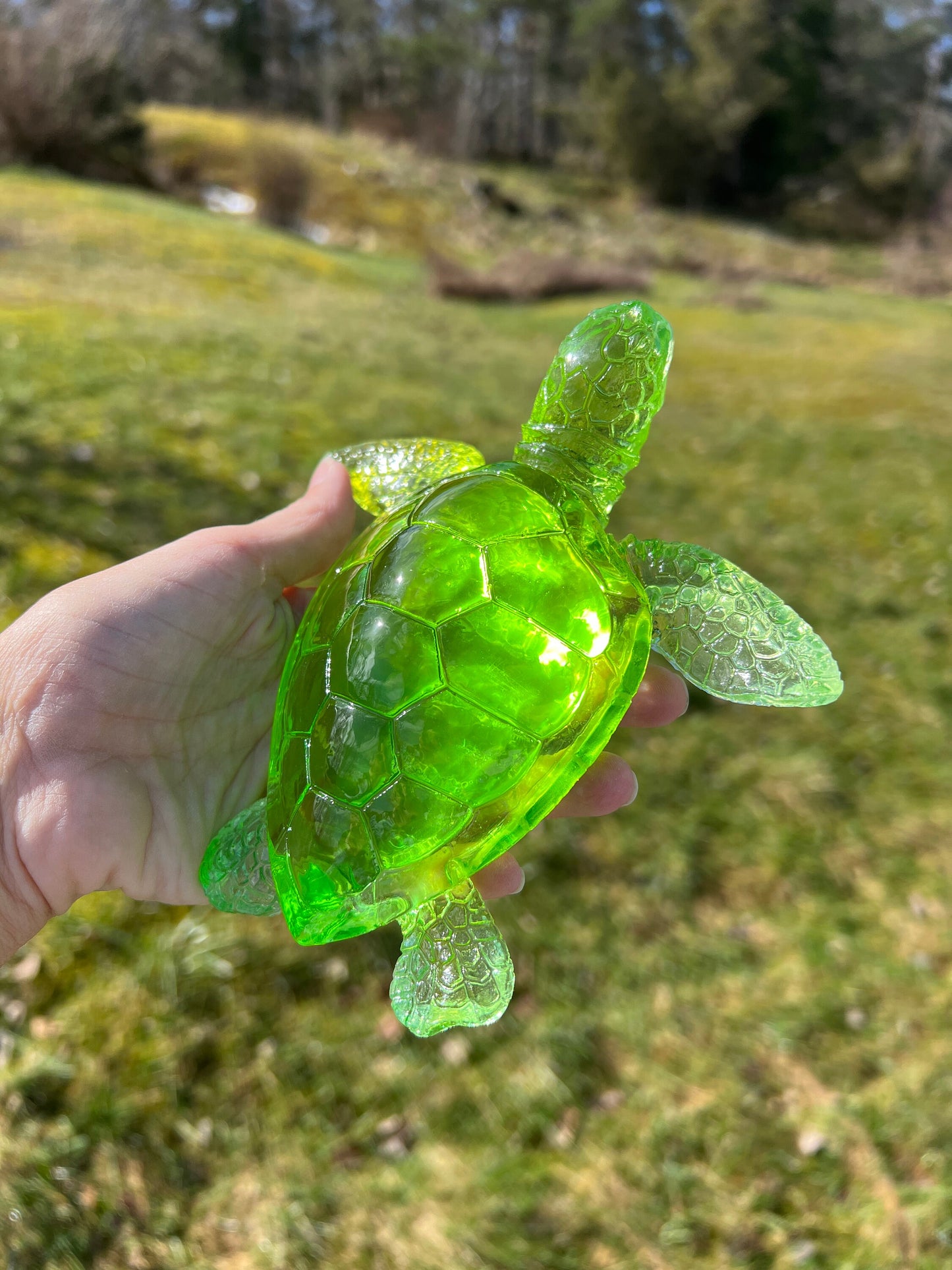 XL Turtle silicone mold / Resin mold