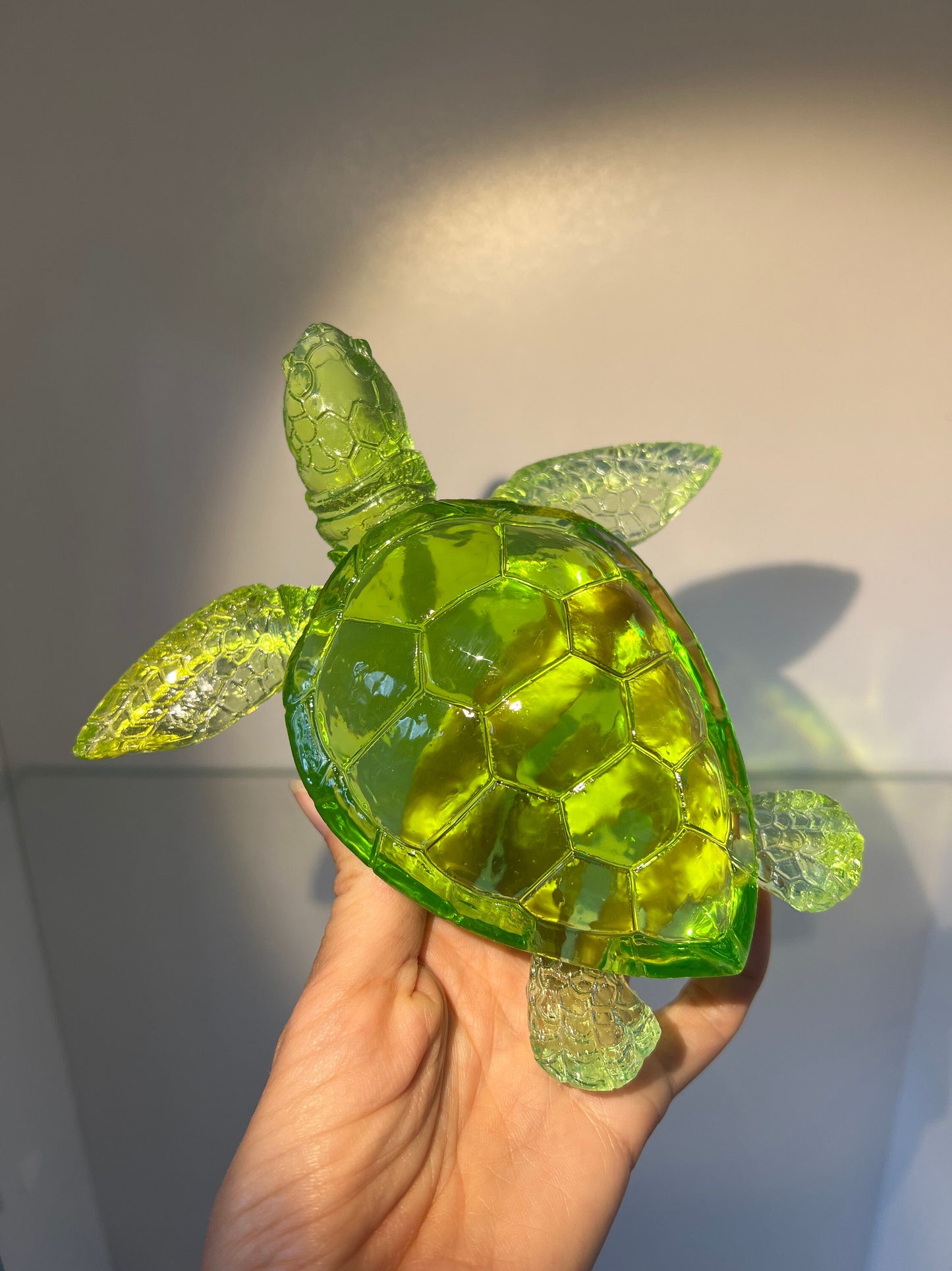 XL Turtle silicone mold / Resin mold