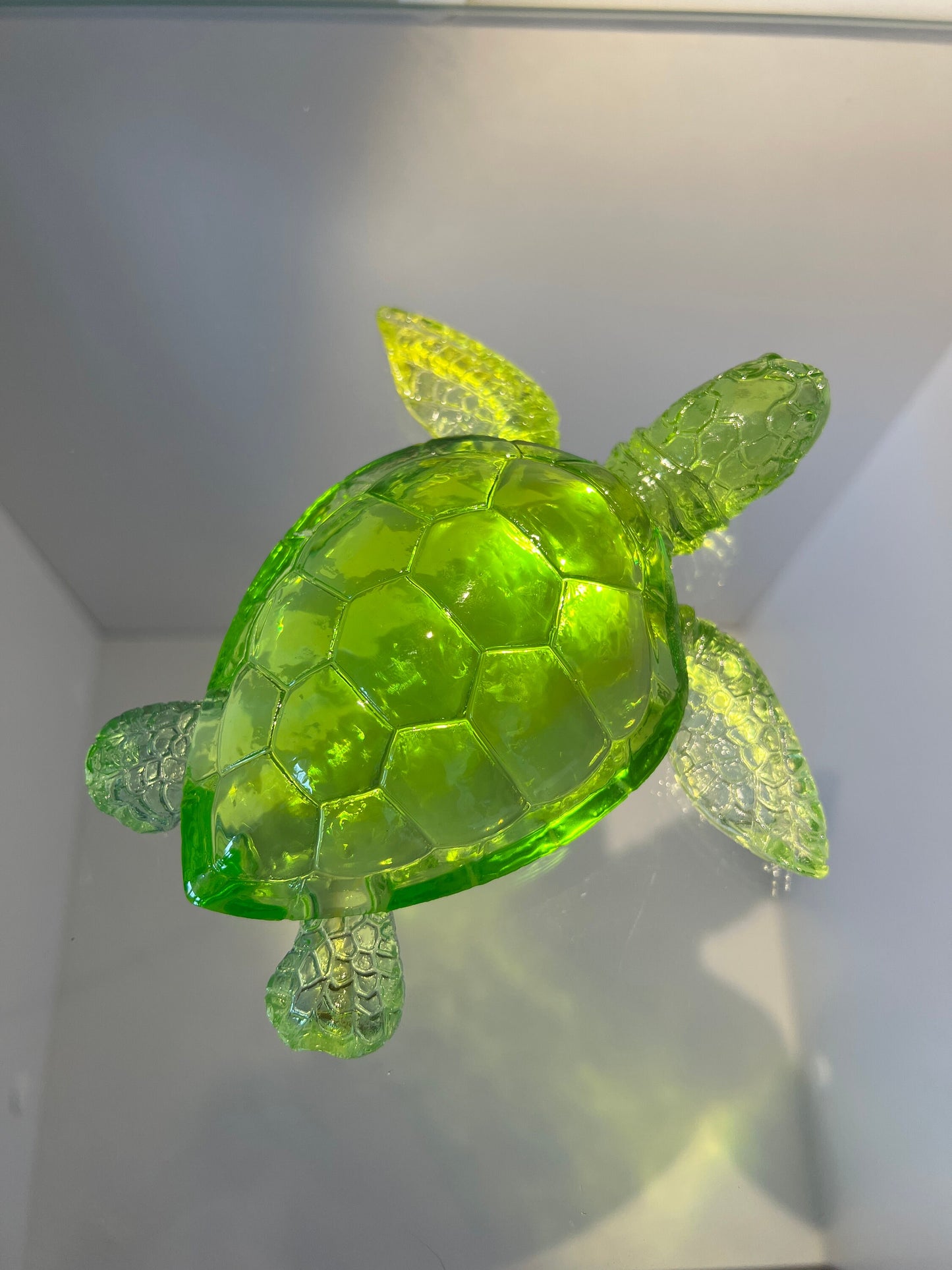 XL Turtle silicone mold / Resin mold