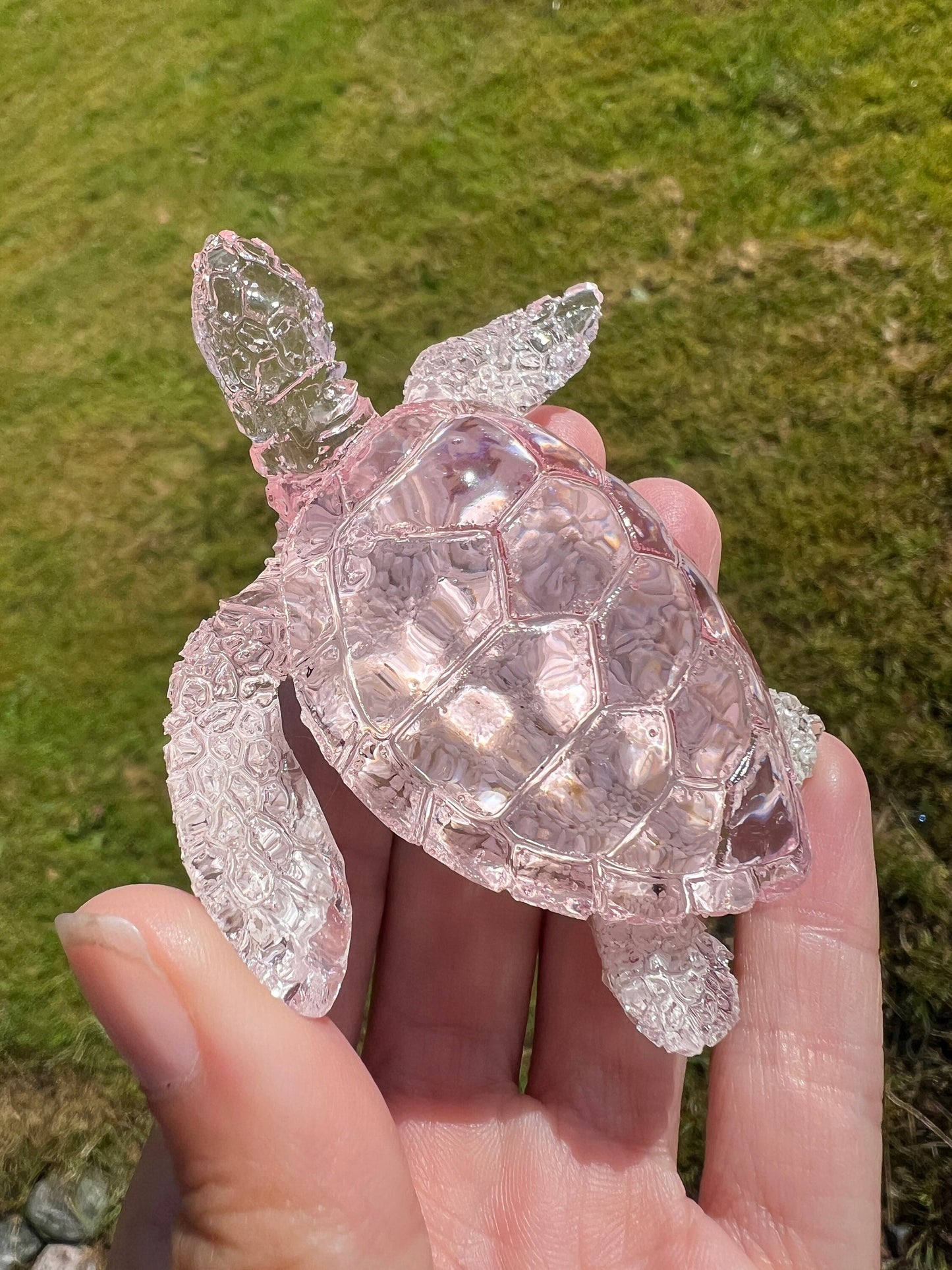 Ocean Turtle - medium