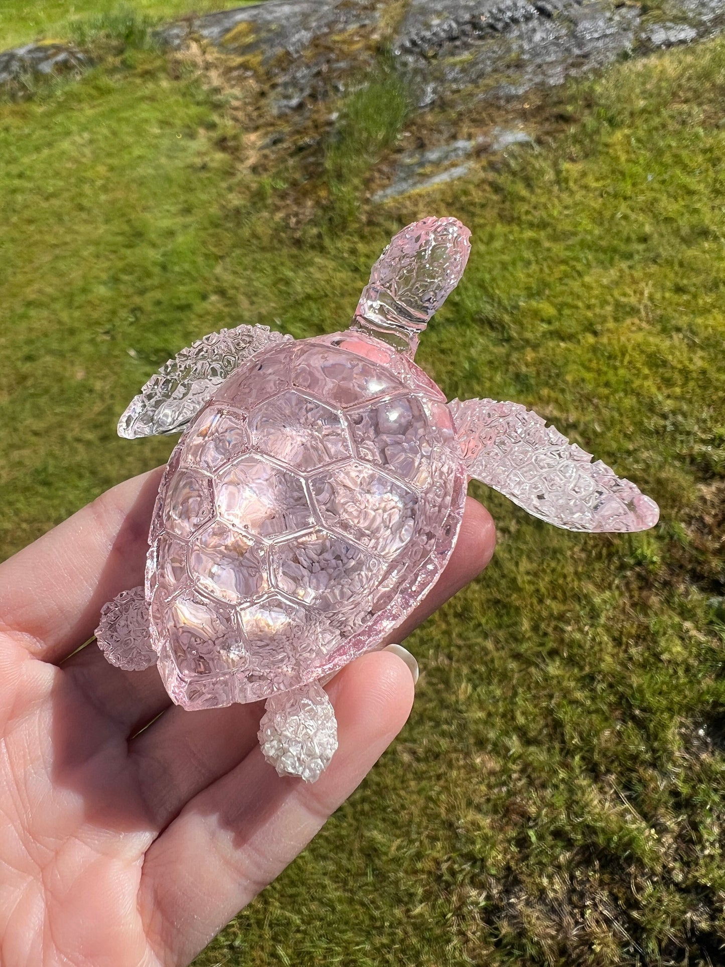 Ocean Turtle - medium