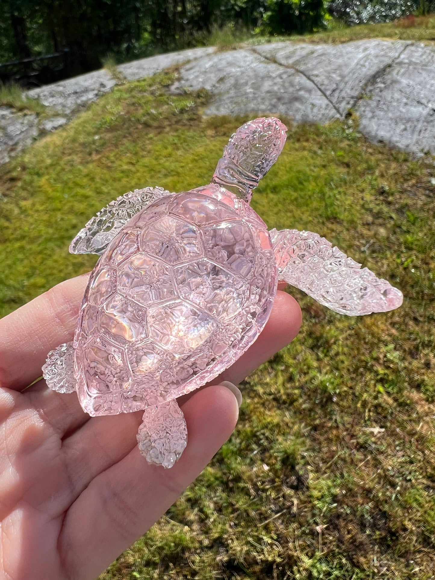Ocean Turtle - medium