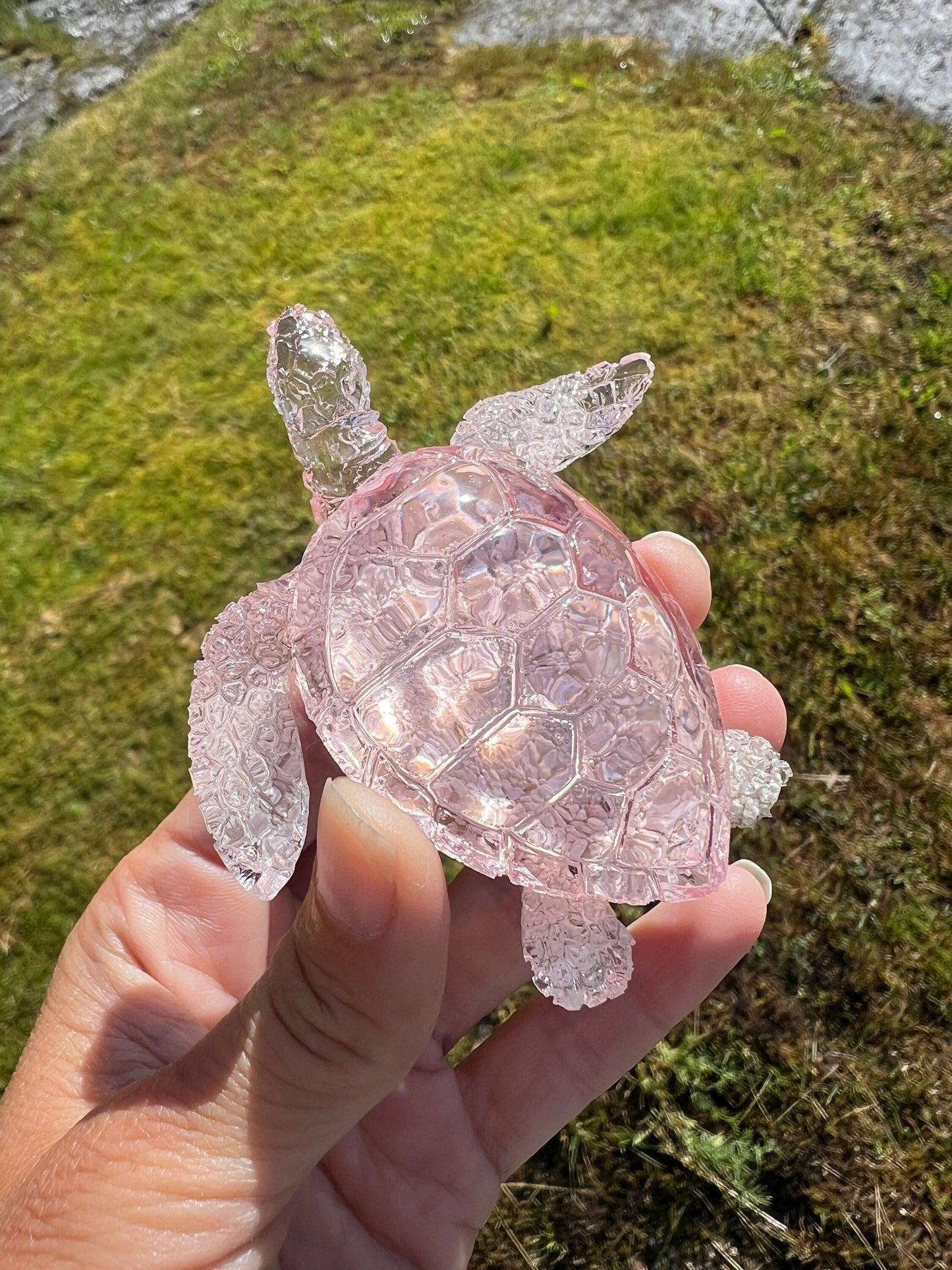 Ocean Turtle - medium