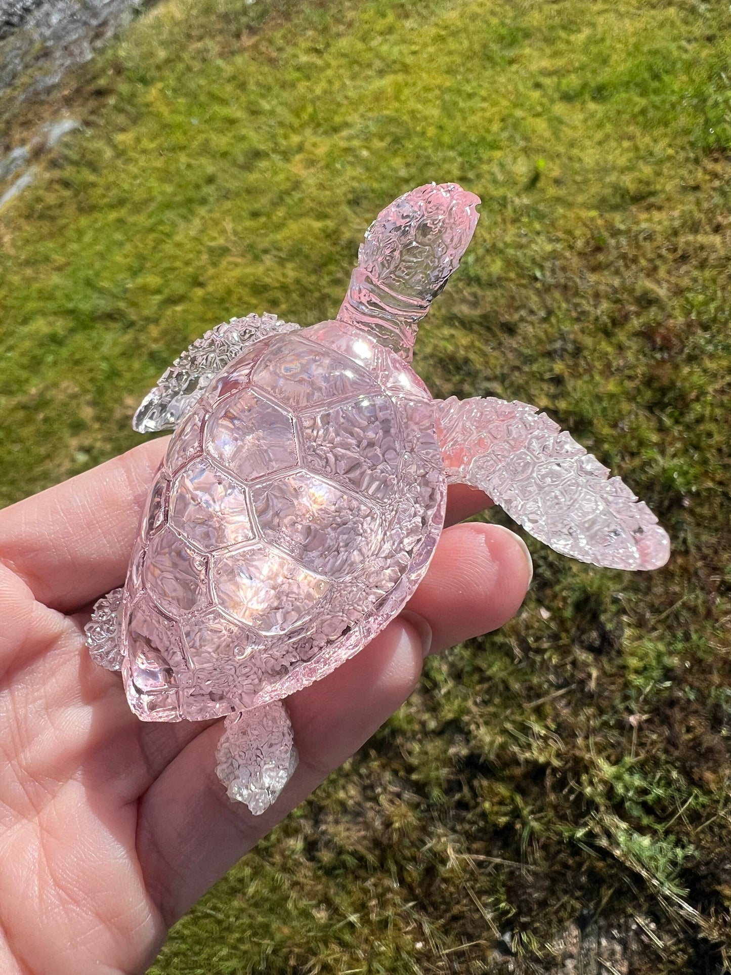 Ocean Turtle - medium