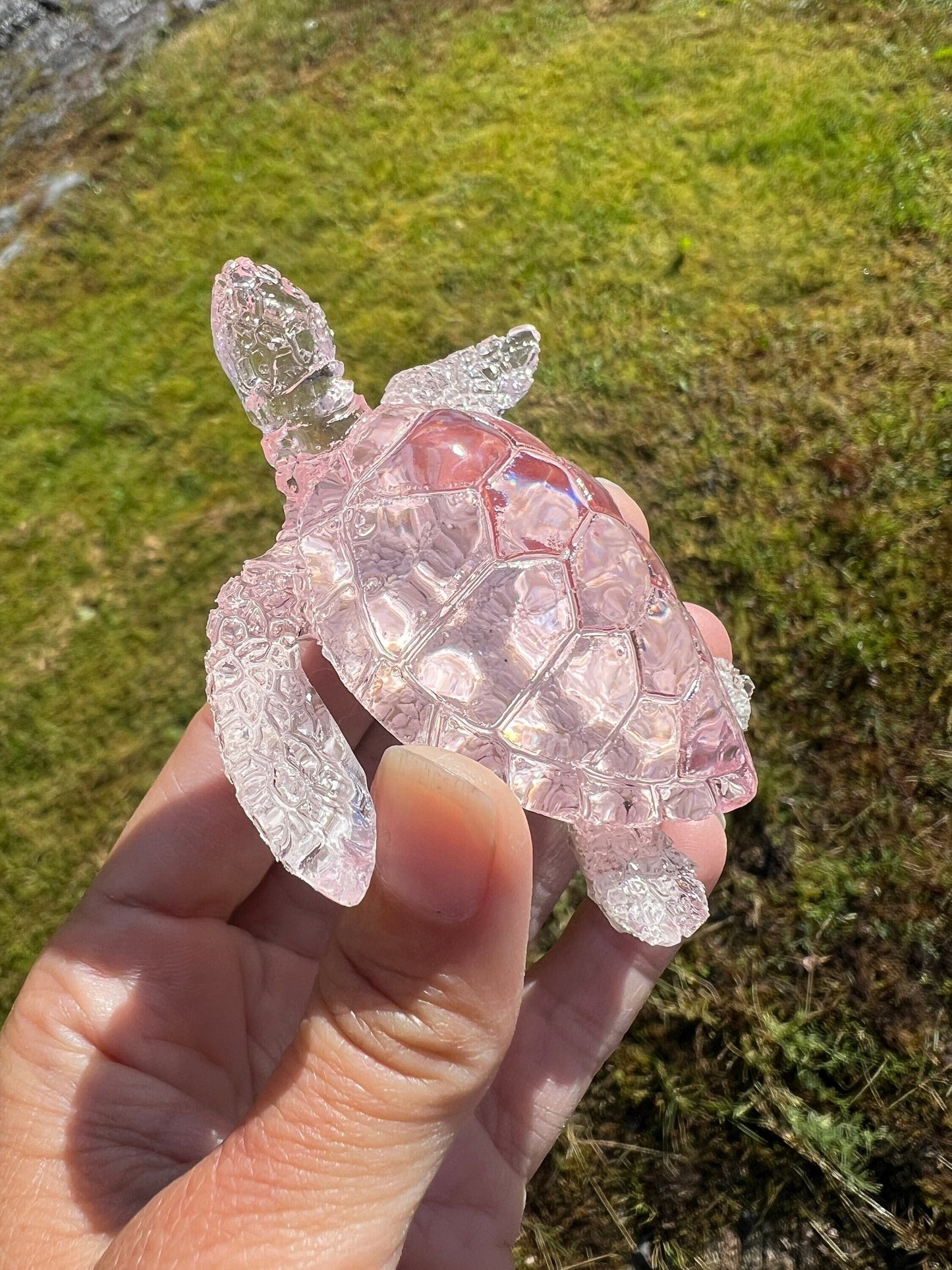 Ocean Turtle - medium