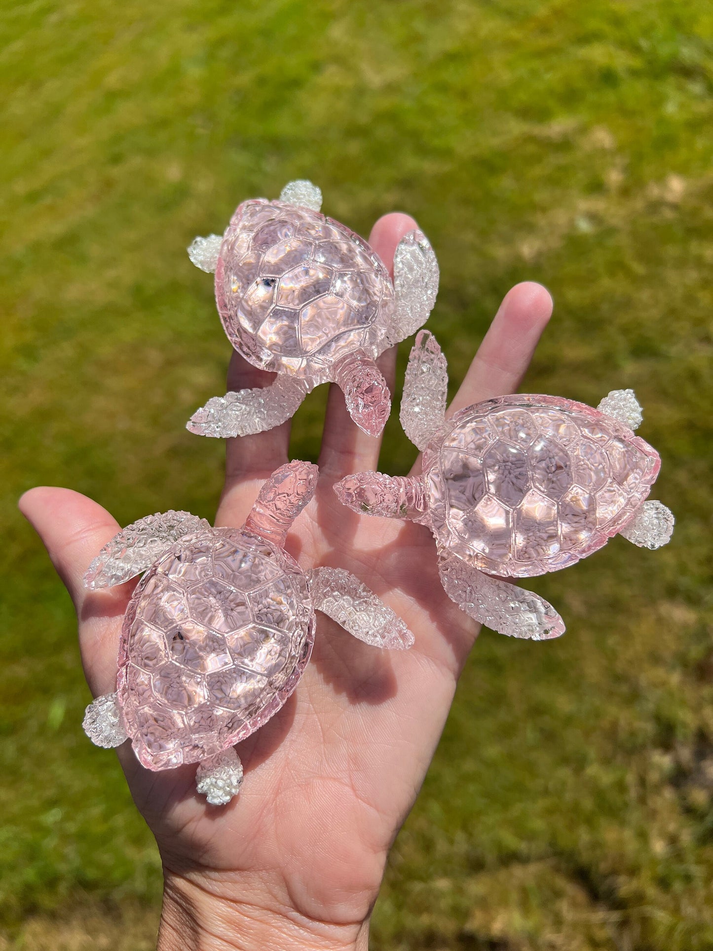 Ocean Turtle - medium