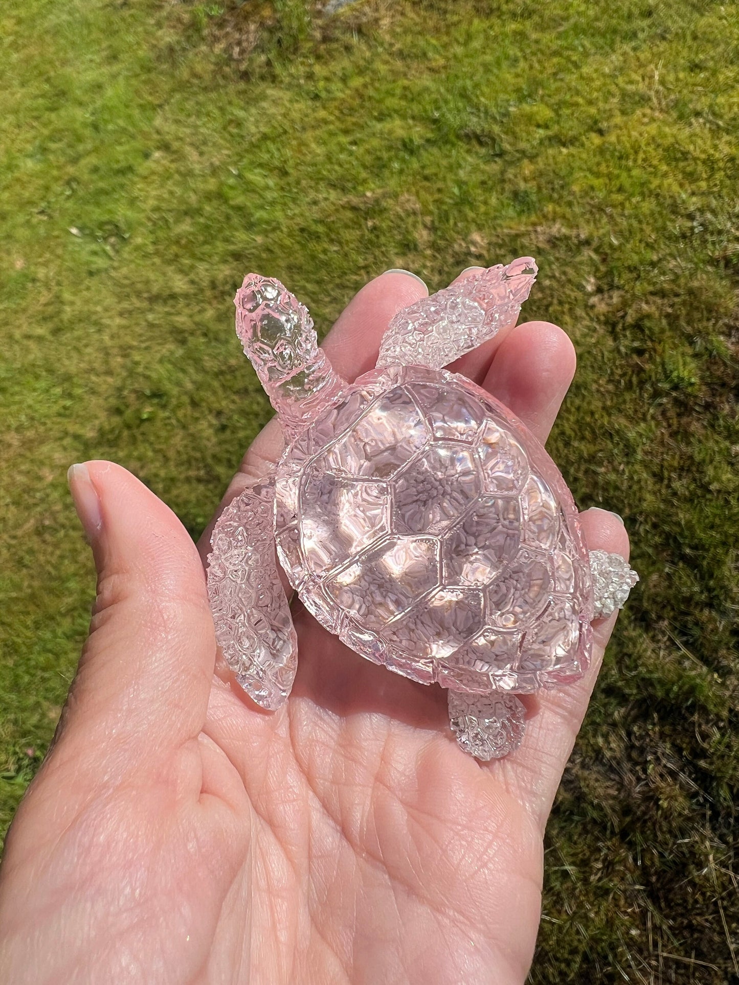 Ocean Turtle - medium