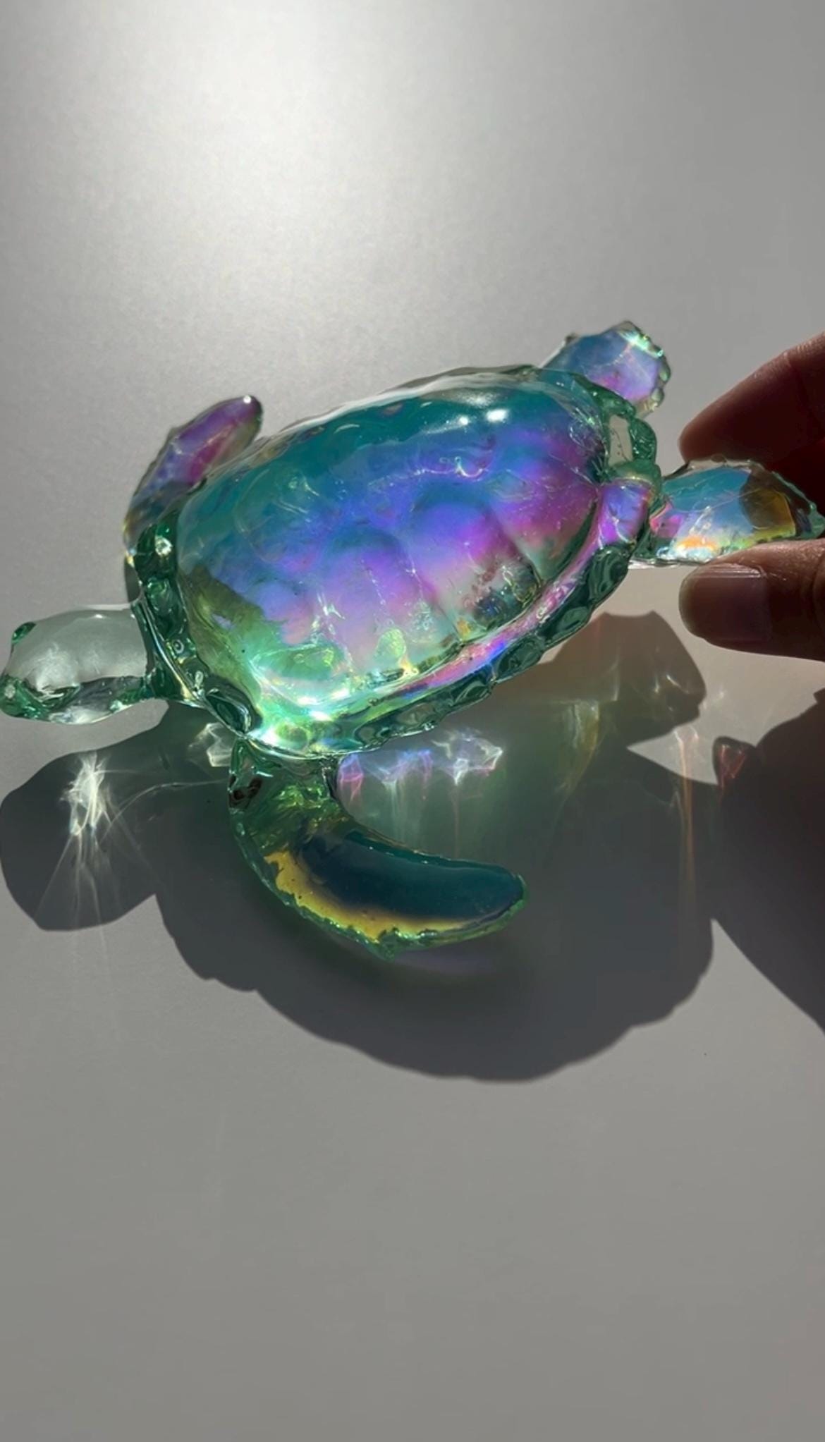 Ocean Turtle -X- large