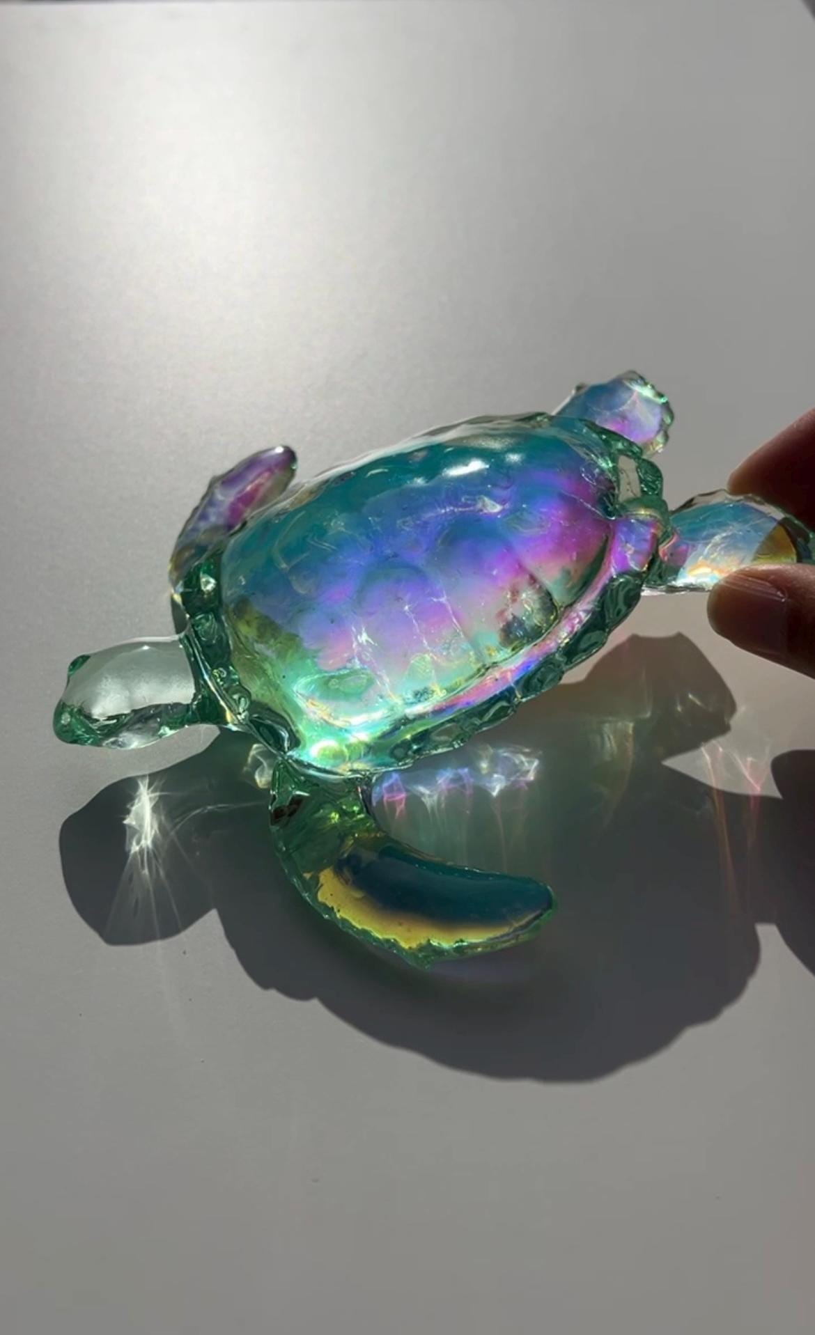 Ocean Turtle -X- large