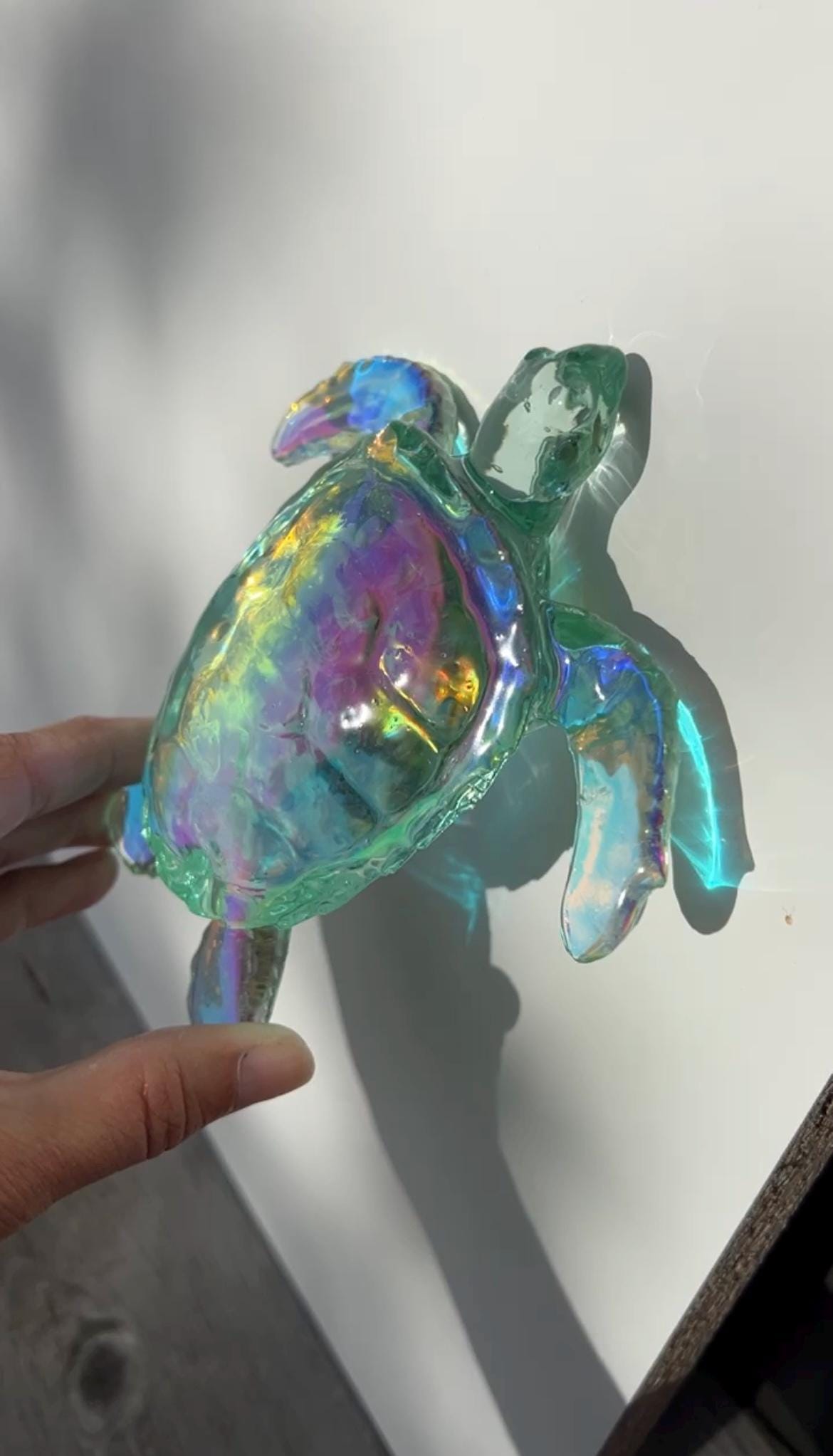 Ocean Turtle -X- large
