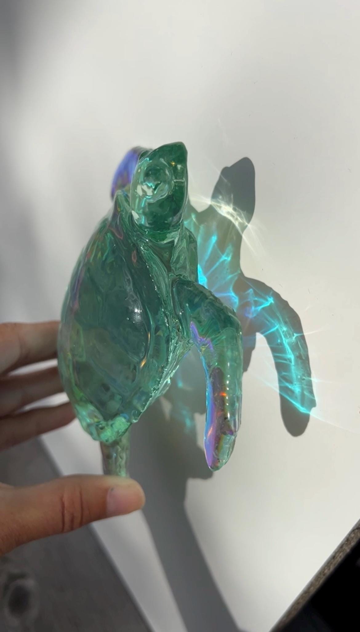 Ocean Turtle -X- large