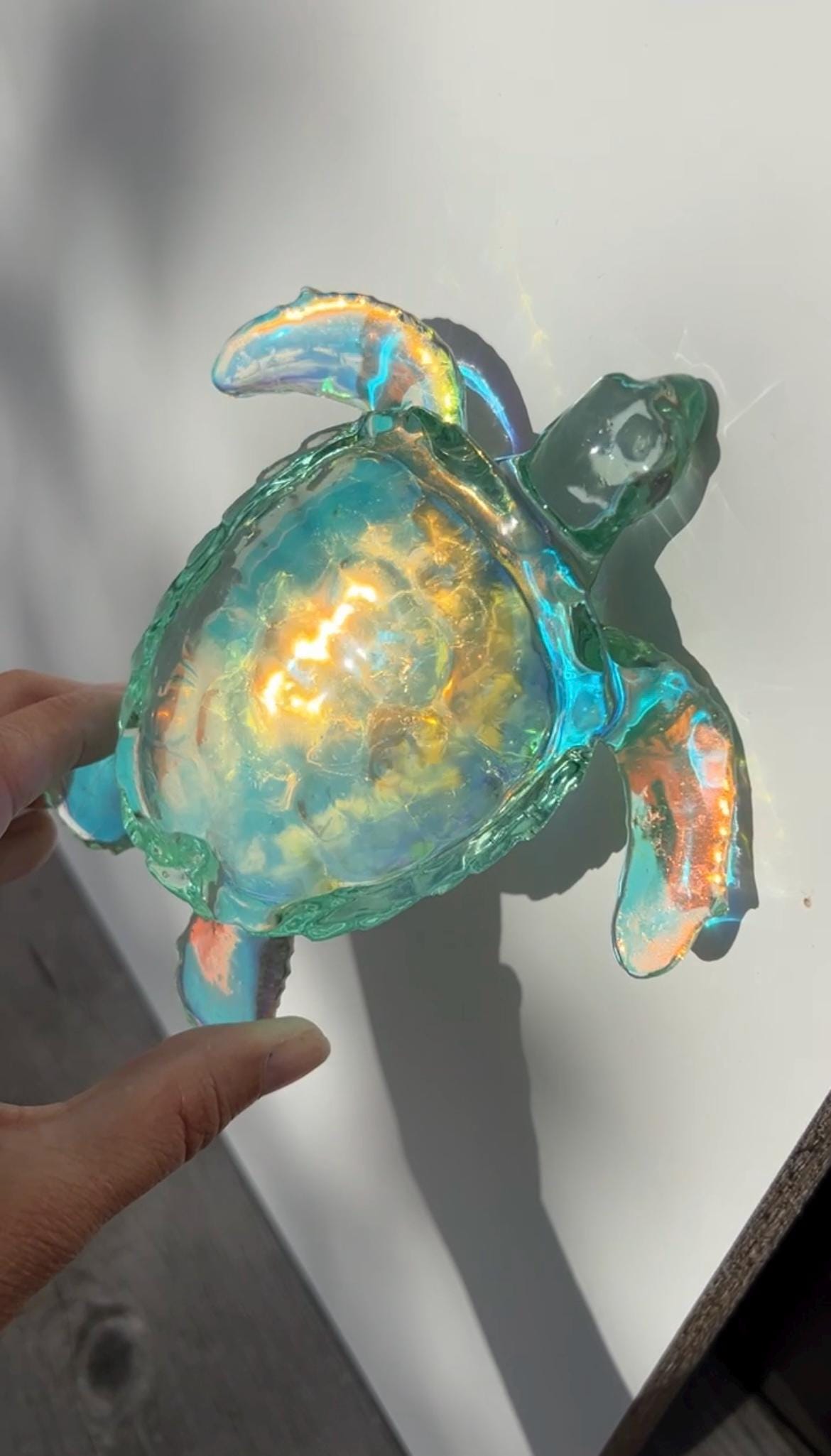 Ocean Turtle -X- large