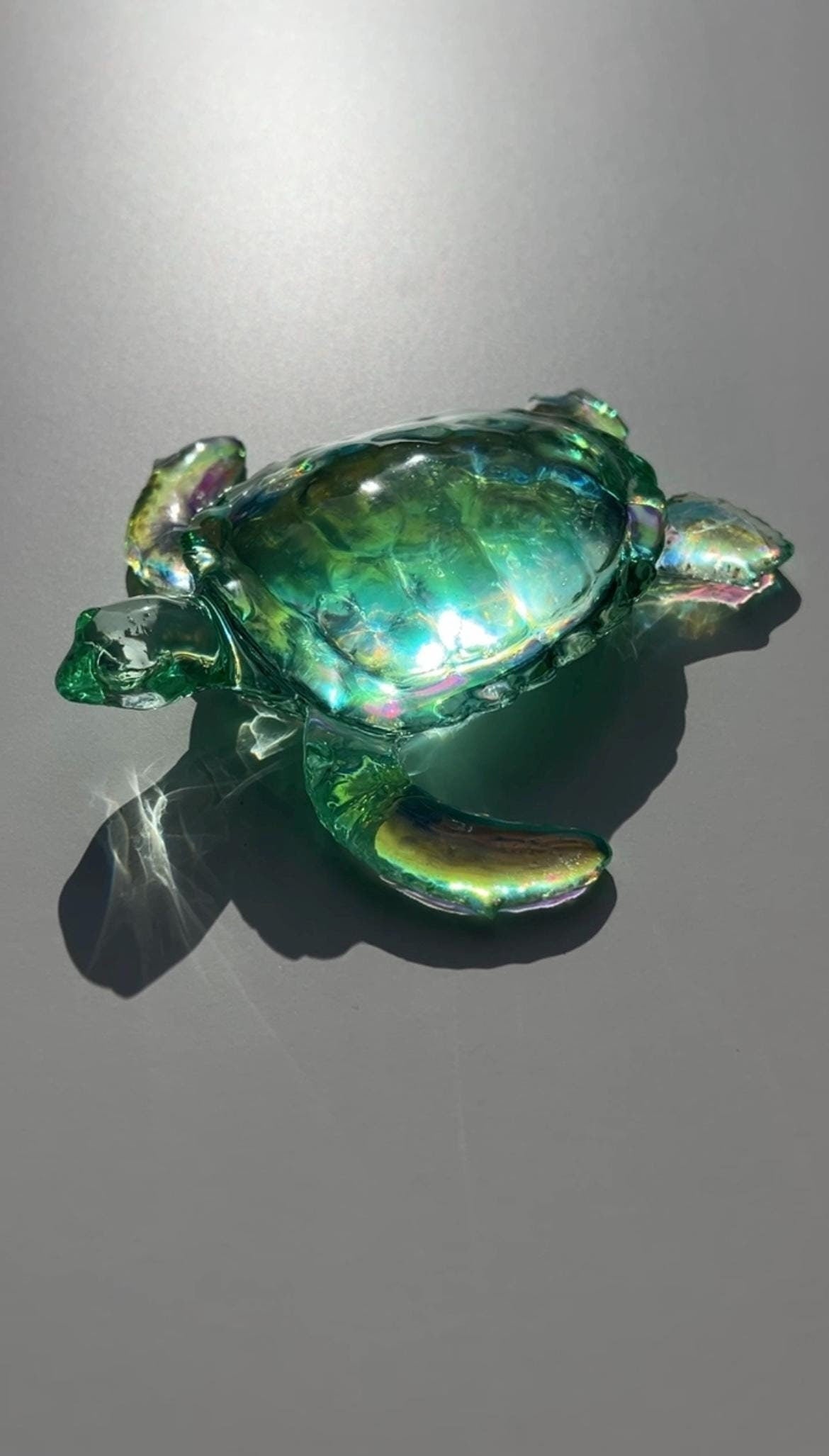 Ocean Turtle -X- large