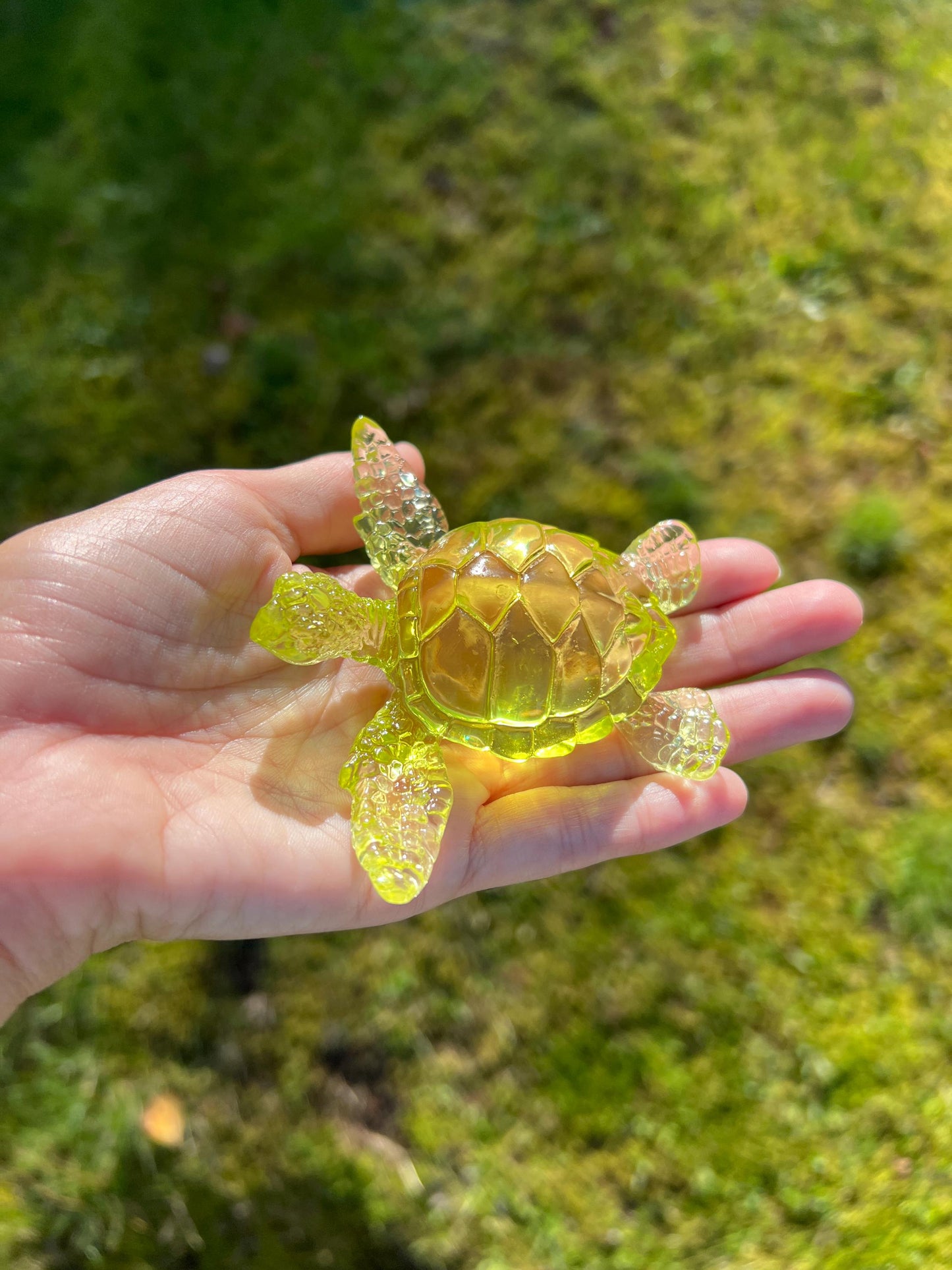 Turtle silicone mold / Resin mold