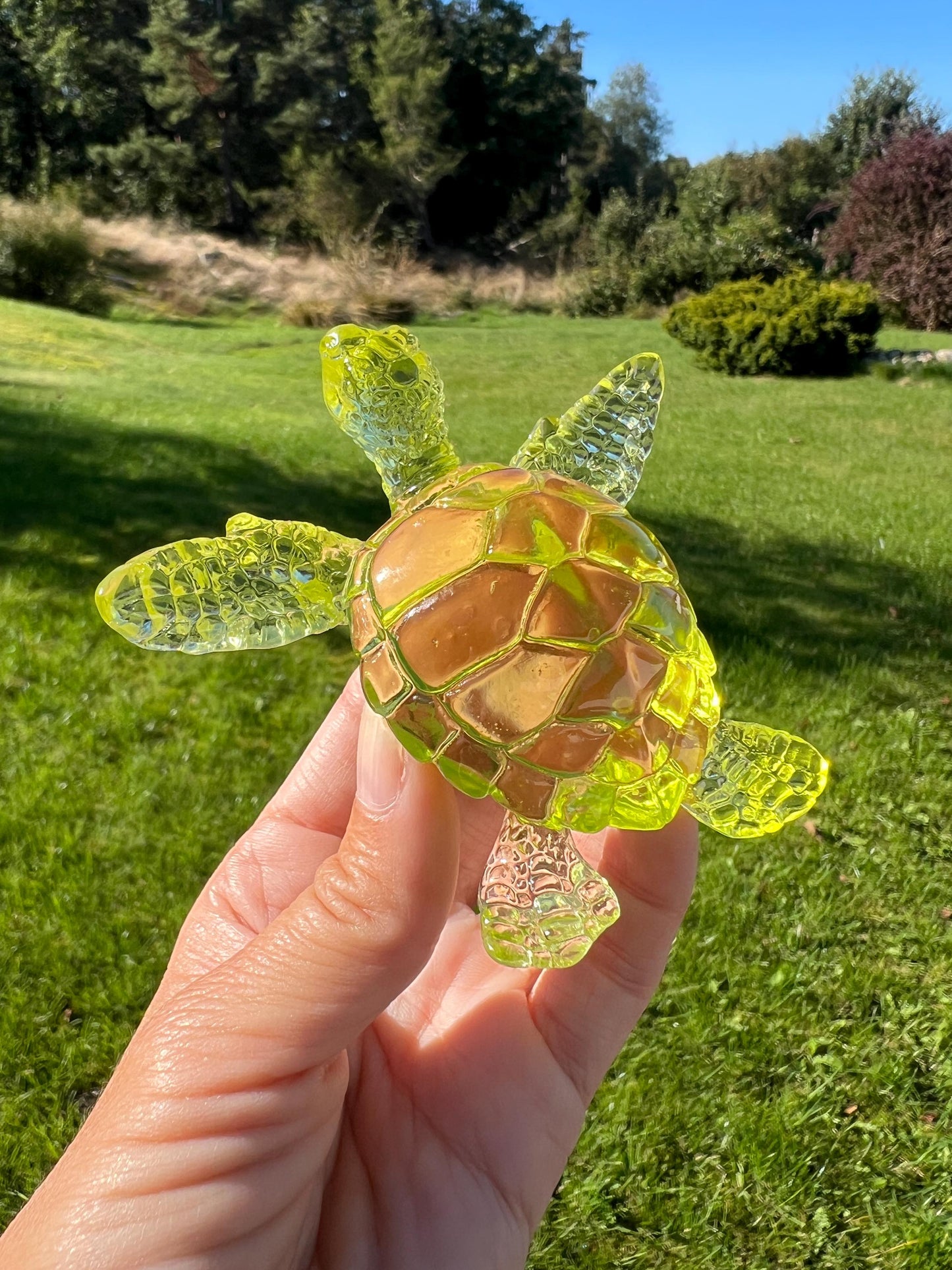Turtle silicone mold / Resin mold