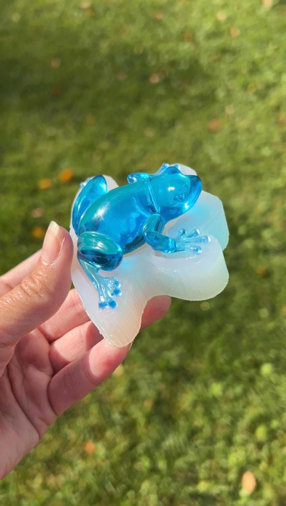 Frog silicone mold / Resin mold