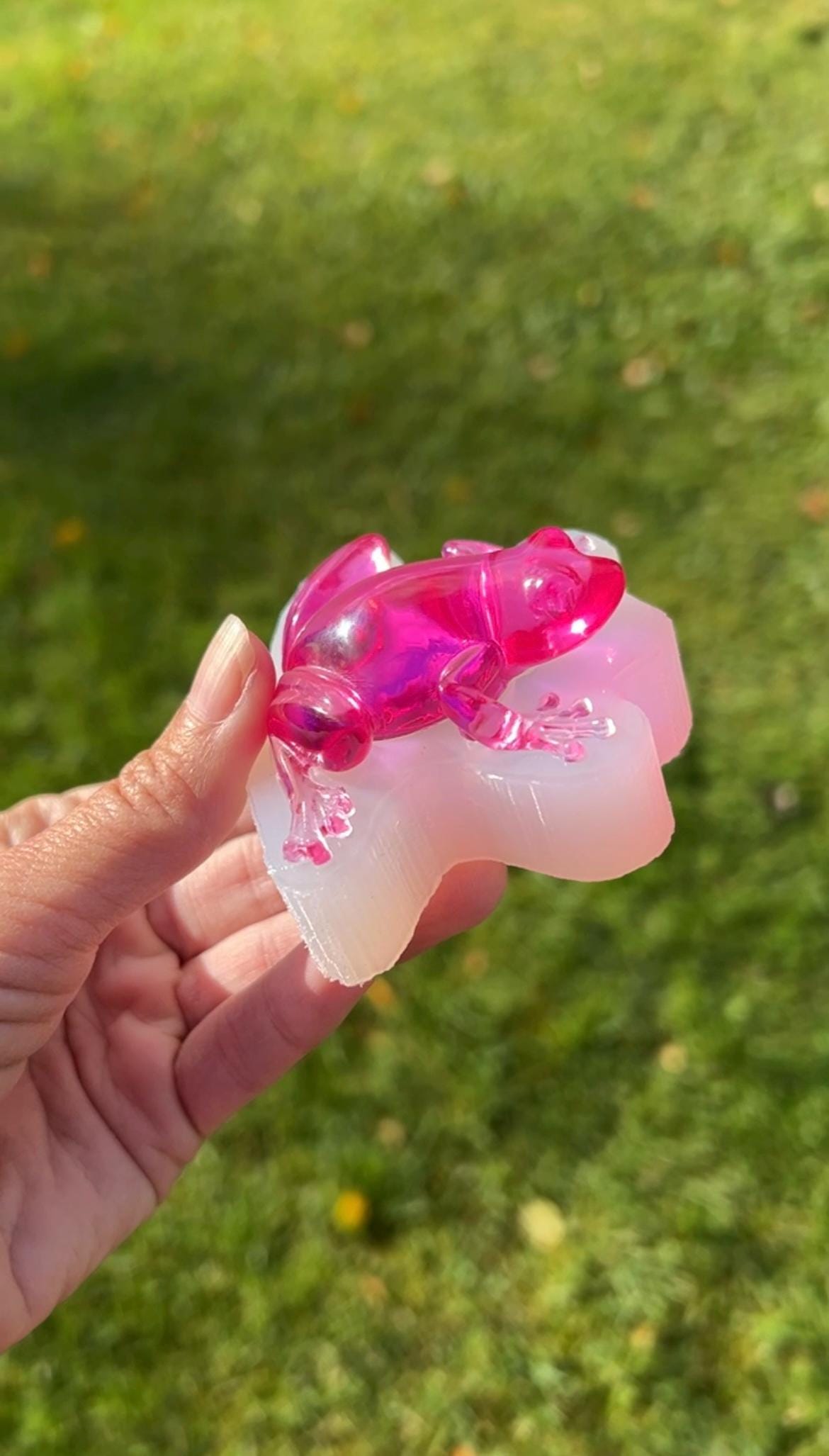 Frog silicone mold / Resin mold
