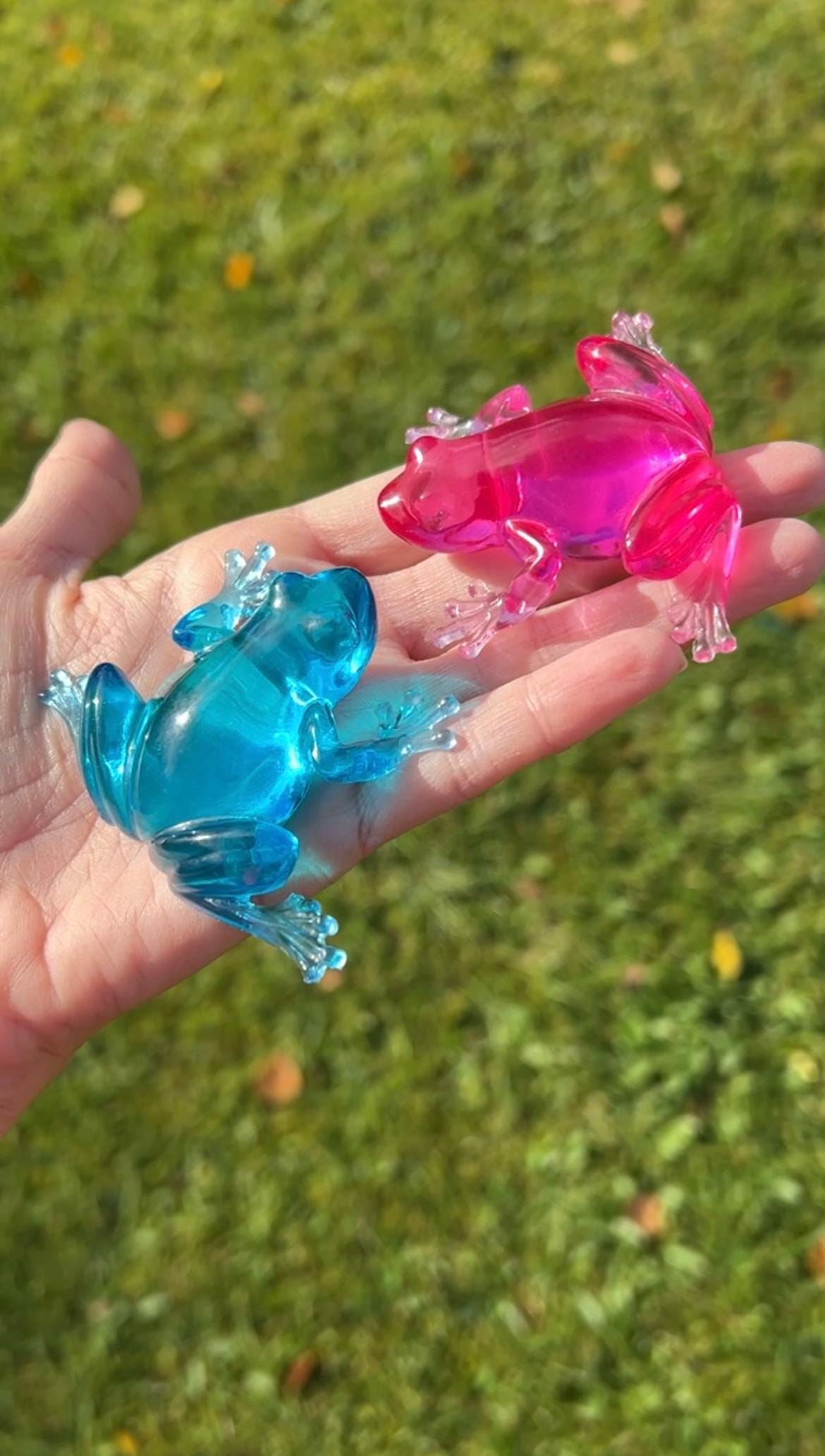 Frog silicone mold / Resin mold
