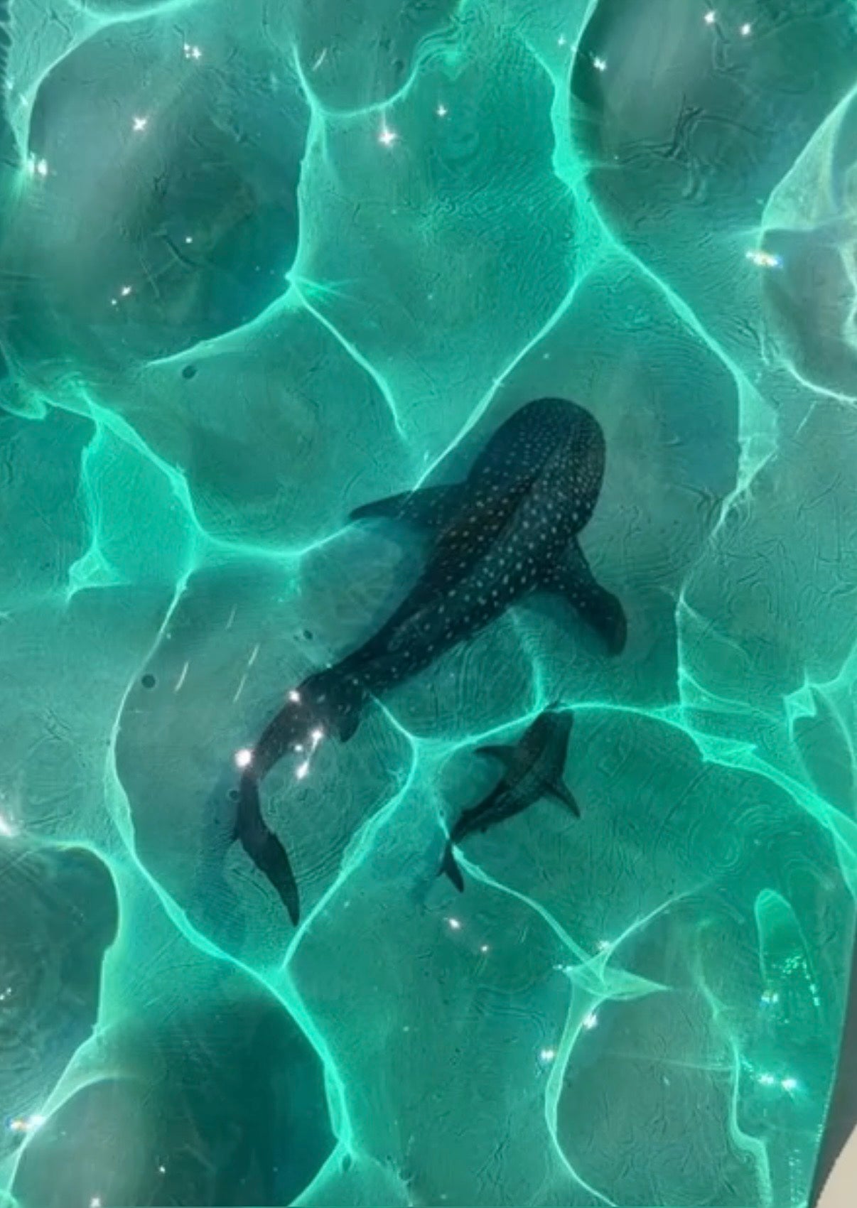 Vatten inspirerad tavla - *Ocean art*