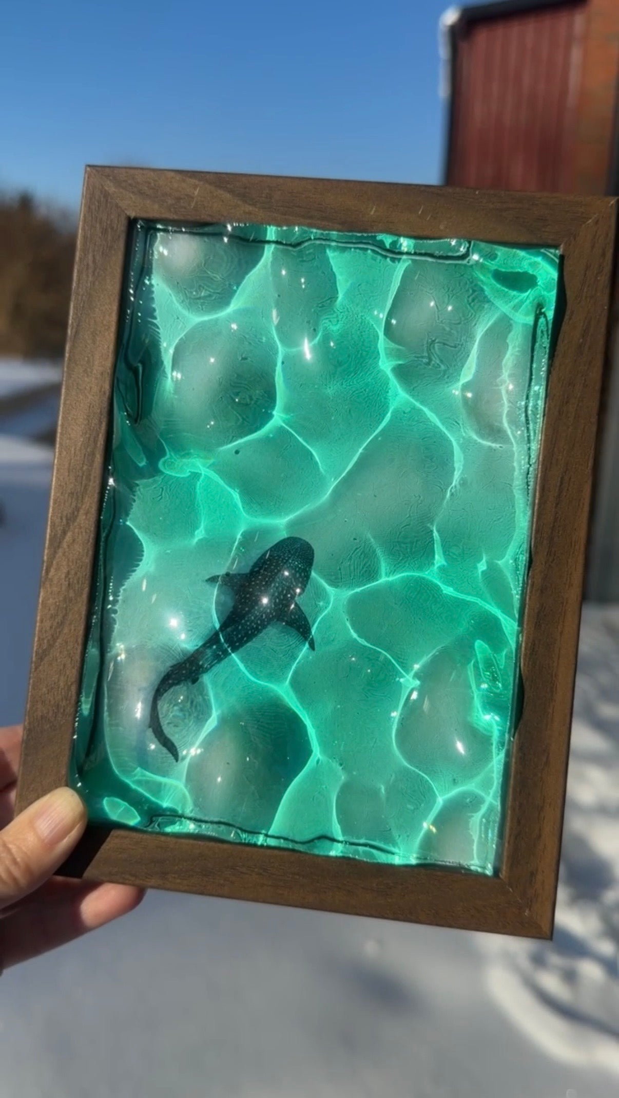 Water ripple art whaleshark - OCEAN ART
