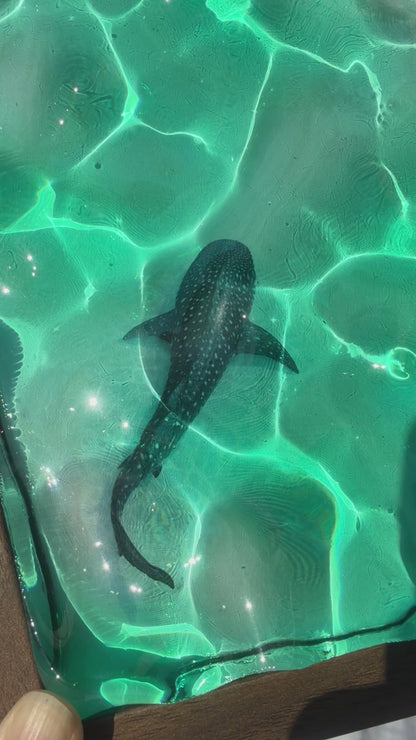 Water ripple art whaleshark - OCEAN ART